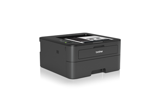 image deBrother HL-L2360
